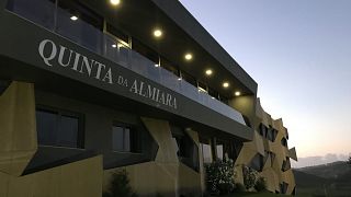 Cata de vinos y visita guiada en Quinta Da Almiara
