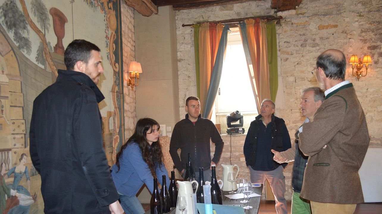 Domaine Du Chateau De Viviers