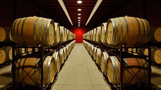 Degustazione di vini premium e pranzo al Castorani