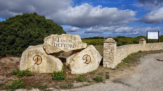 Tenute Dettori Winery