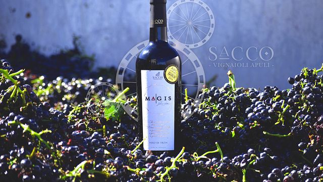 Zusätzliche Weinprobe und Tour bei Sacco Vignaioli Apuli