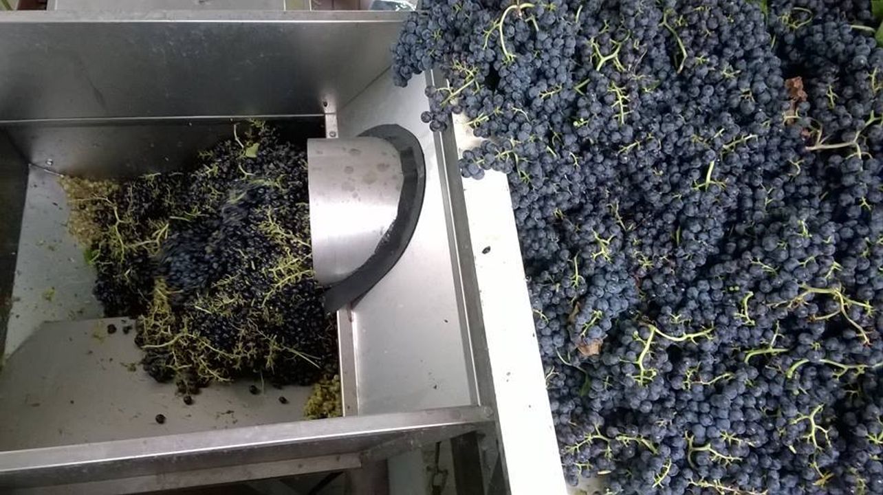 Tenuta Dei Tigli Winery