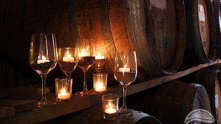 Beliebte Weinprobe im Weingut 919