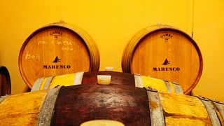 Benvenuti alla Cantina Marenco 