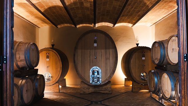 Create Your Bottle: Wine & Blend Experience in Umbria