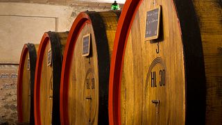 Degustação de vinhos e tour em Carpineto