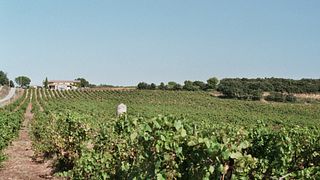 Château Le Devoy Martine