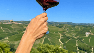 The taste of the Langhe: 3 Barolos from Fortemasso plus 1 surprise wine