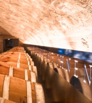 Cata de vinos y visita guiada al Juliusspital Würzburg