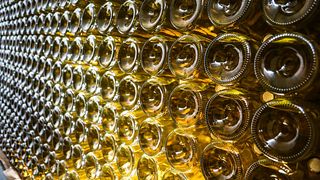 Dão & Lafões: Quinta dos Penassais Wine Journey
