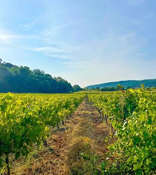 Rhône Gourmet Cellar Escape