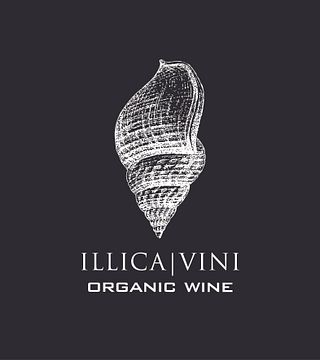 Weinprobe und Führung im Weingut Illica
