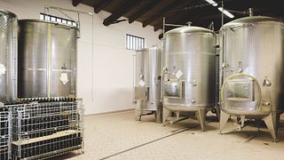 Discover Piedmont Wine & Cellar Journey in Langhe
