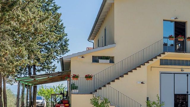 Verkostung von Bio-Wein und -Öl in der Fattoria Bilogia Il Pino