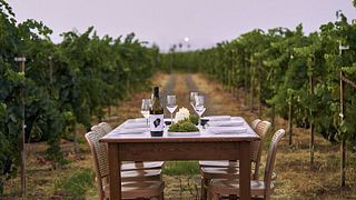 Degustazione di vini Enoma presso l'azienda vinicola Ktima Akrani