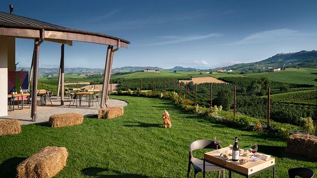 Morra Diego Winery