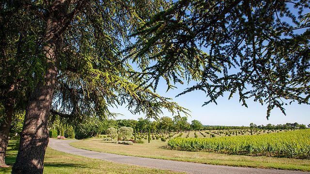 Domaine Gayrard