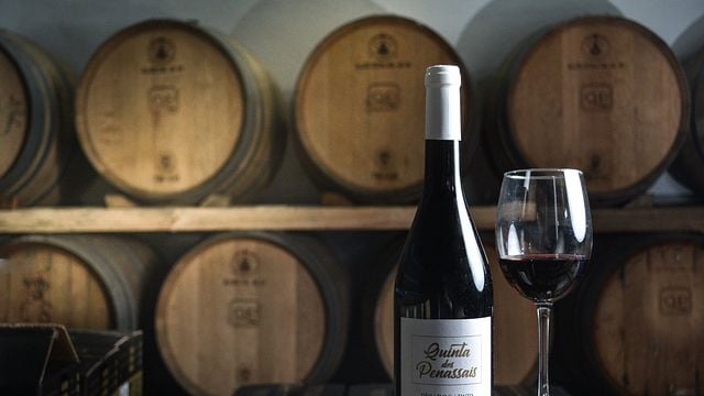 Cata de vinos y tour en Quinta dos Penassais