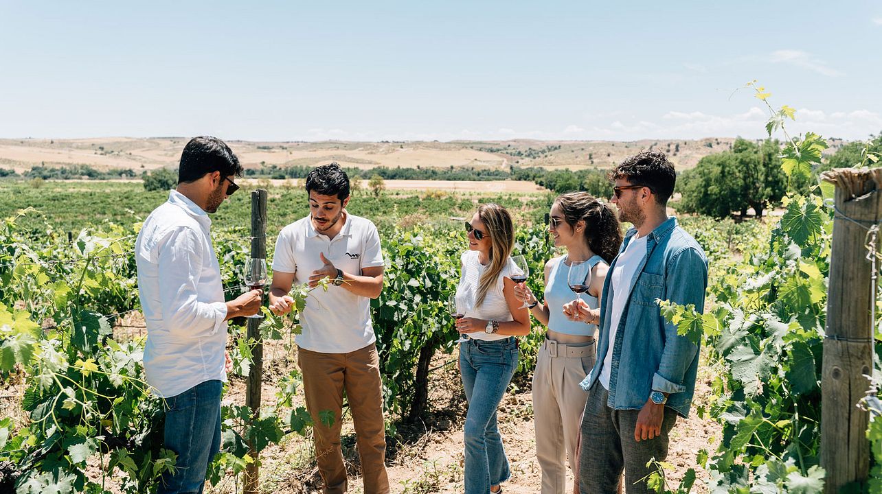 Visita a pueblos tradicionales españoles y bodegas con cata de vinos y almuerzo de tapas