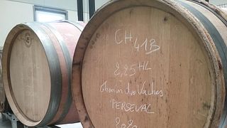 Cata de vinos y visita guiada a Champagne Bruno & Grégoire Perseval