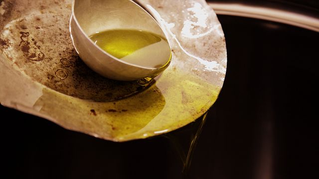 Degustazione di vini e didattica di olio d'oliva