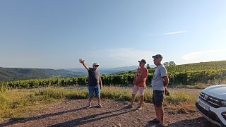 Côte-Rôtie in Full View From Slopes to Cellar