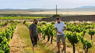 Excursão de vinhos orgânicos e azeite saindo de Málaga com tapas.