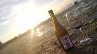 Vingårdstur och vinprovning på Bodega Vinificate