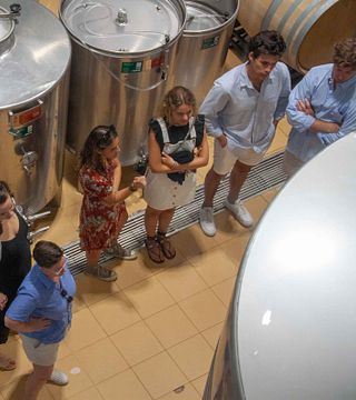 Les routes des vins d'Albariño, visite privée des vins et dégustations
