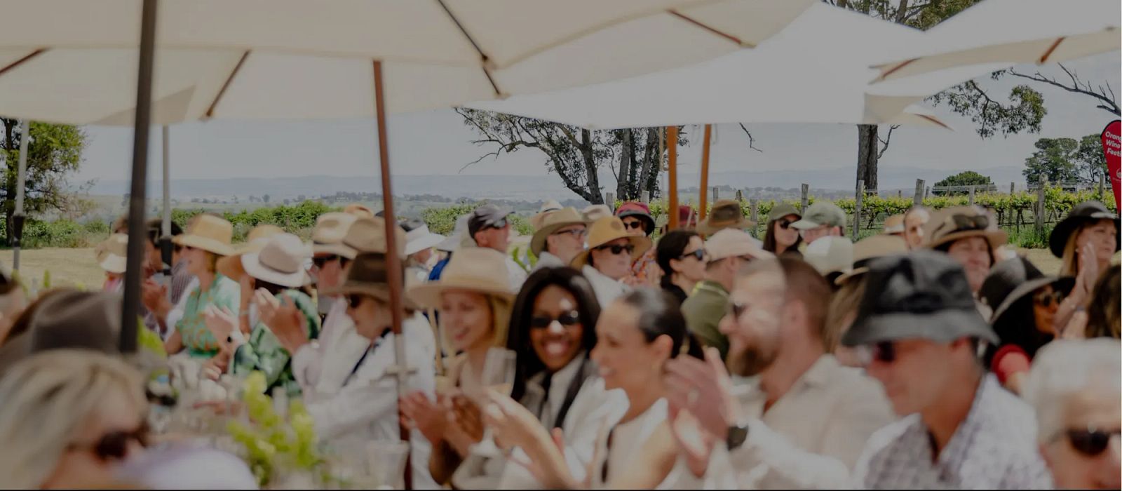 Wine Festival