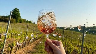 Dégustation et visite de vins haut de gamme chez Bonzano Vini