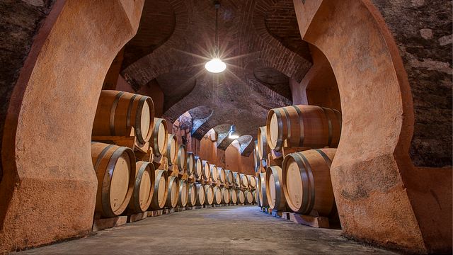 Degustação de vinhos e tour em Marchesi Alfieri