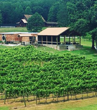 Bear Claw Vineyards & Winery