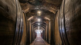 Pranzo leggero | Degustazione di vini e tour alla Fattoria Della Talosa