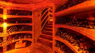 Weinprobe und Tour im Tenuta Santa Caterina