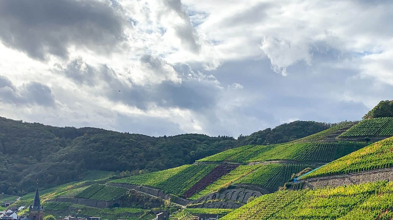 Grape Escape - Vallée de l'Ahr pour découvrir le Pinot Noir allemand