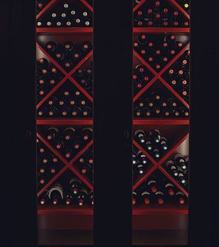 Tuscan Vineyard Tour & Natural Wine Tasting at Poggio del Moro