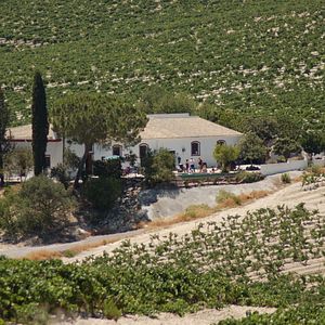 Overnight stays in the old Winery from 1722 (private stays for groups)