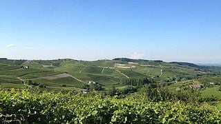 Dégustation de vins et visite à l'Azienda Agricola Rinaldi Vini