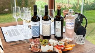 THE GODDESS OF VOLCANO | The evolution of Malvasia Puntinata grape