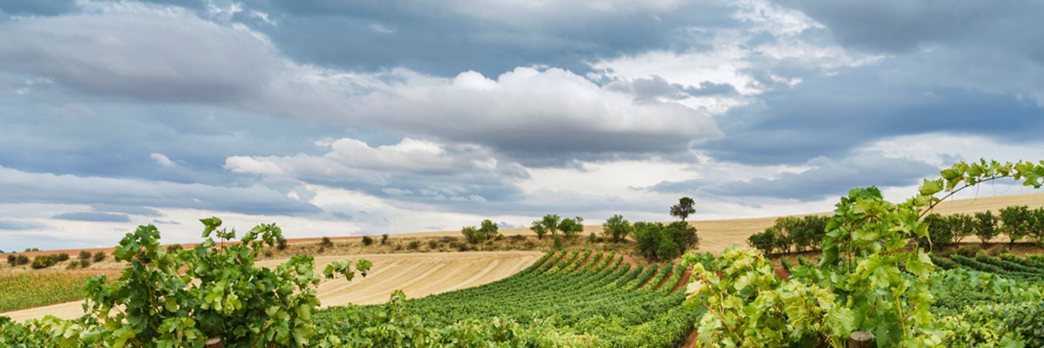 Ribera Del Duer