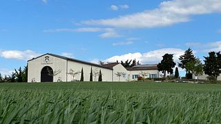 Visita delle cantine con degustazione di vini al Domaine La Louvière