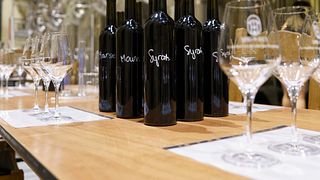 Crea il tuo blend di vino rosso personalizzato con Marion Cornille, enologa del Domaine Mas de Rey.