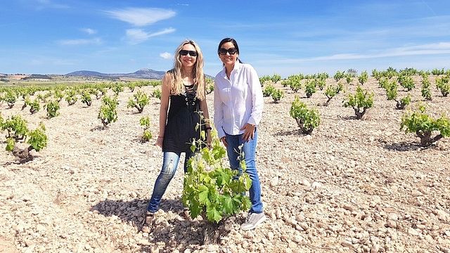 Wine Tasting and Tour at Bodegas Lavia