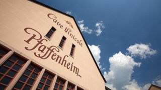 La Cave des Vignerons de Pfaffenheim