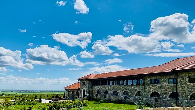 Cata de vinos en Dealu Mare