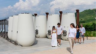 Cata de vino Prosecco + aperitivos + visitas a bodegas y viñedos en Valdobbiadene 