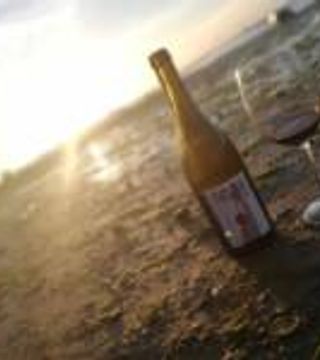 Andalusia Sherry Wine & Vineyard Discovery