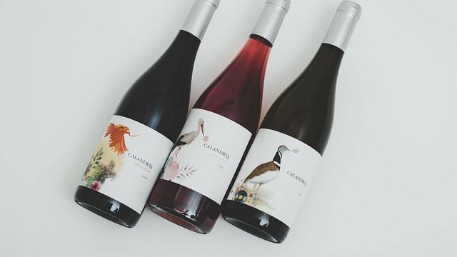 Vinprovning och rundtur på Bodegas Belote