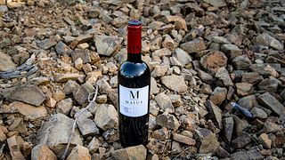 Dégustation de vins et visite chez Maius Viticultors
